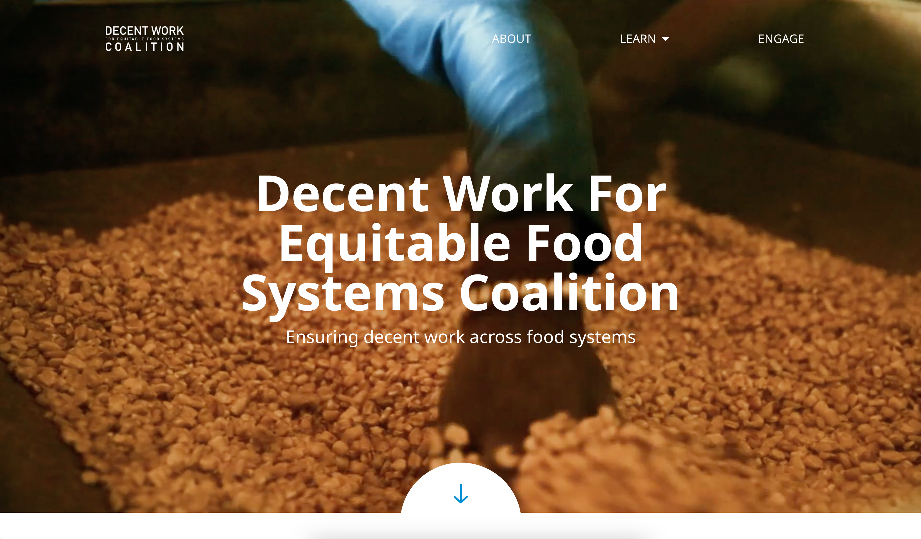 Decent Work for Equitable Food Systems Coalition